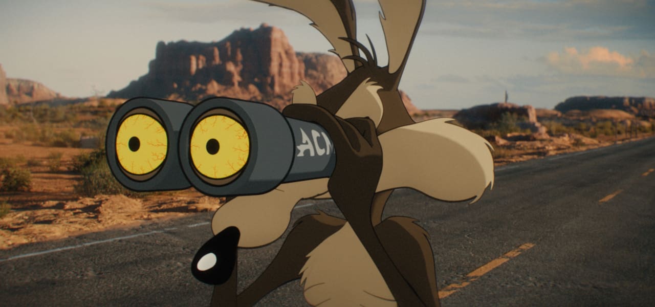 Coyote Vs Acme
