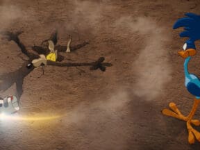 Coyote Vs Acme