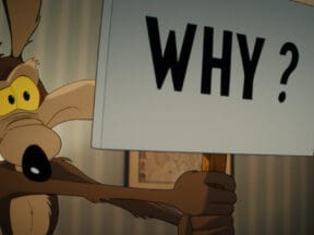 Coyote vs Acme