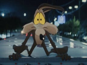 Coyote vs. Acme