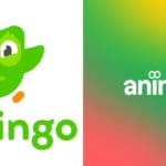 Duolingo Animade