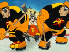 The Raccoons