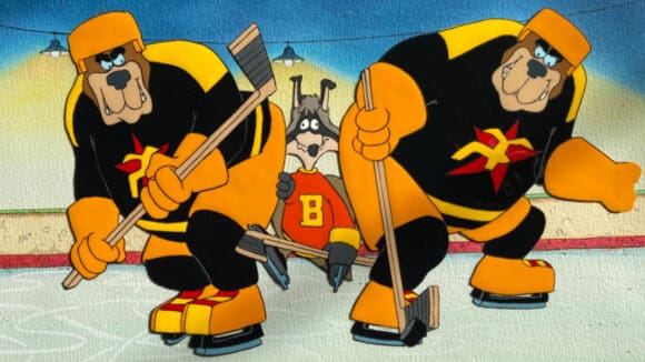 The Raccoons