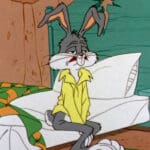 Bugs Disheveled