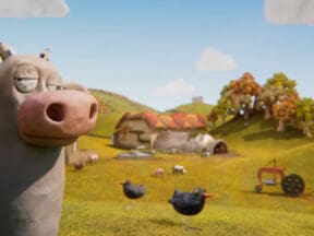 Cows