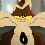 Coyote vs Acme