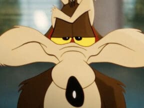 Coyote vs Acme