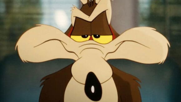 Coyote vs Acme