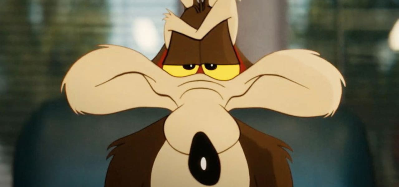 Coyote vs Acme