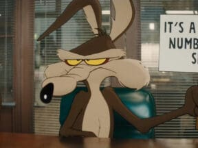Coyote vs Acme
