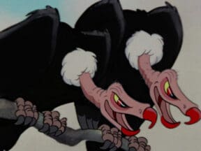 Snow White Vultures