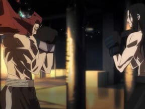 The Boxer