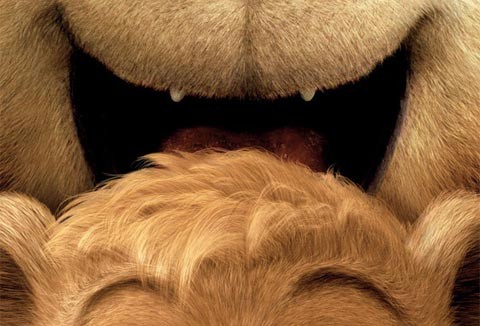 Hairy Bear Movie